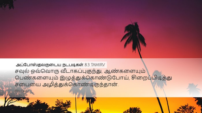 அப்போஸ்தலருடைய நடபடிகள் 8:3 TAMIRV Bible Verse Image