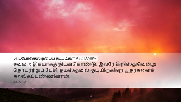 அப்போஸ்தலருடைய நடபடிகள் 9:22 TAMIRV Bible Verse Image