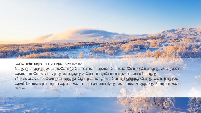 அப்போஸ்தலருடைய நடபடிகள் 9:39 TAMIRV Bible Verse Image