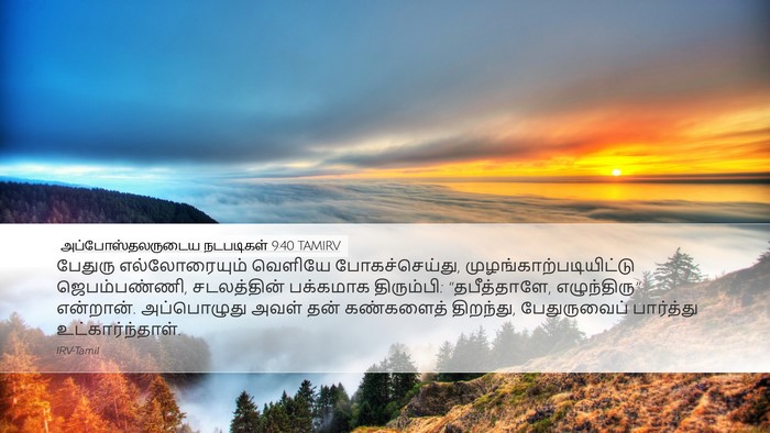 அப்போஸ்தலருடைய நடபடிகள் 9:40 TAMIRV Bible Verse Image