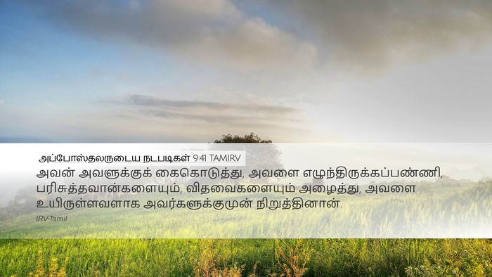 அப்போஸ்தலருடைய நடபடிகள் 9:41 TAMIRV Bible Verse Image