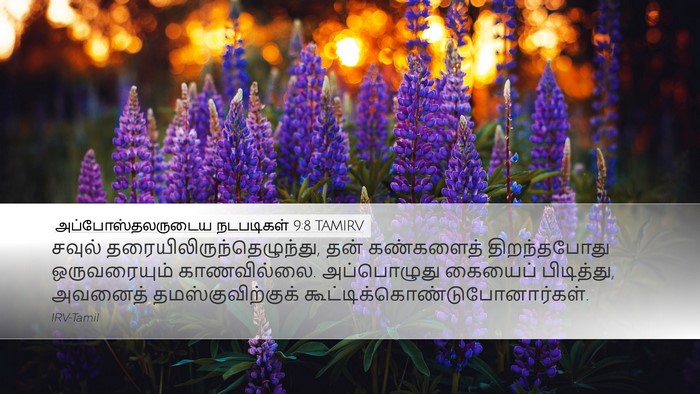 அப்போஸ்தலருடைய நடபடிகள் 9:8 TAMIRV Bible Verse Image