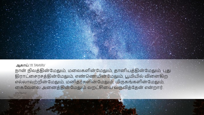 ஆகாய் 1:11 TAMIRV Bible Verse Image
