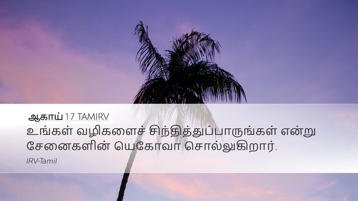ஆகாய் 1:7 TAMIRV Desktop Wallpaper - உங்கள் வழிகளைச் - Desktop Bible Verse Wallpaper