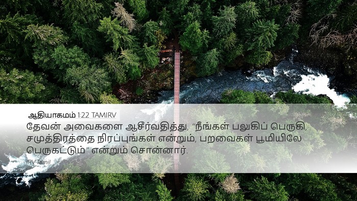 ஆதியாகமம் 1:22 TAMIRV Bible Verse Image