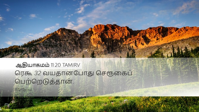 ஆதியாகமம் 11:20 TAMIRV Desktop Wallpaper - ரெகூ 32 வயதானபோது - Desktop Bible Verse Wallpaper