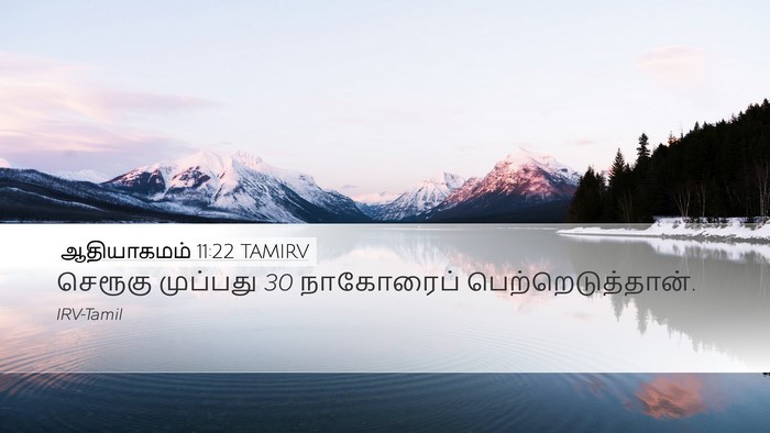 ஆதியாகமம் 11:22 TAMIRV Desktop Wallpaper - செரூகு முப்பது 30 - Desktop Bible Verse Wallpaper