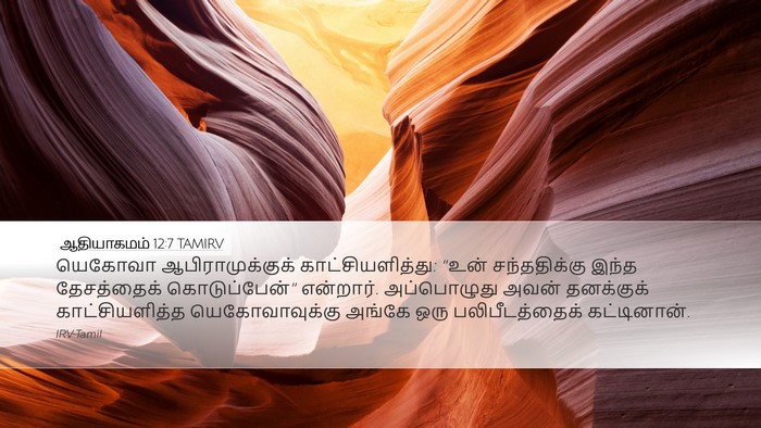 ஆதியாகமம் 12:7 TAMIRV Bible Verse Image