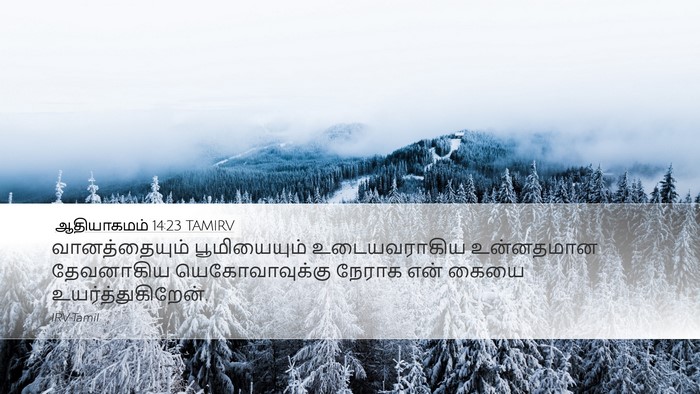 ஆதியாகமம் 14:23 TAMIRV Bible Verse Image