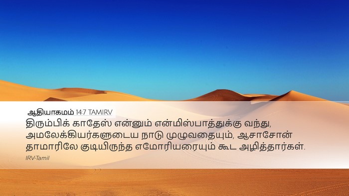 ஆதியாகமம் 14:7 TAMIRV Bible Verse Image