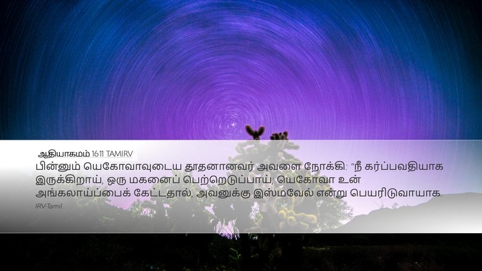 ஆதியாகமம் 16:11 TAMIRV Bible Verse Image