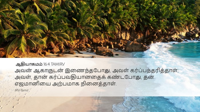 ஆதியாகமம் 16:4 TAMIRV Bible Verse Image