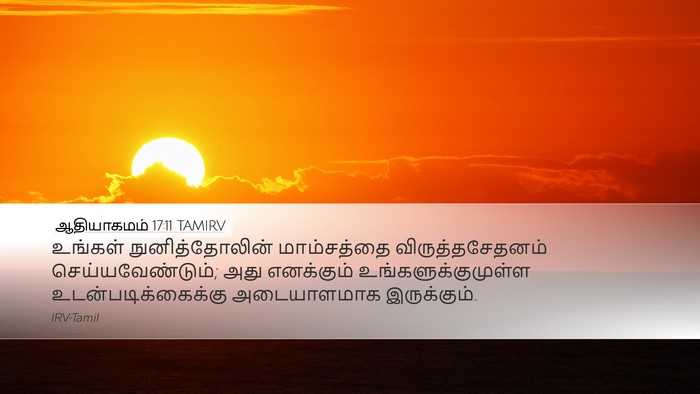 ஆதியாகமம் 17:11 TAMIRV Bible Verse Image