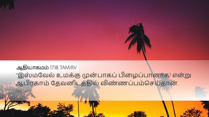 ஆதியாகமம் 17:18 TAMIRV Bible Verse Image