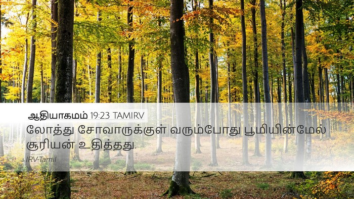 ஆதியாகமம் 19:23 TAMIRV Bible Verse Image