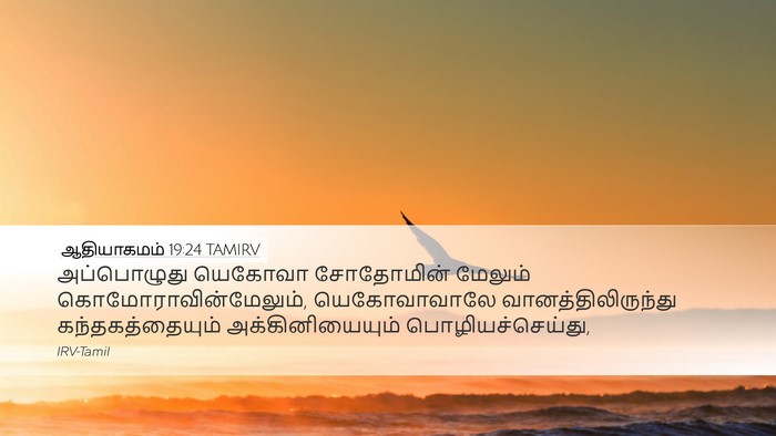 ஆதியாகமம் 19:24 TAMIRV Bible Verse Image