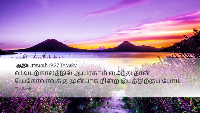 ஆதியாகமம் 19:27 TAMIRV Bible Verse Image