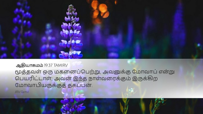 ஆதியாகமம் 19:37 TAMIRV Bible Verse Image