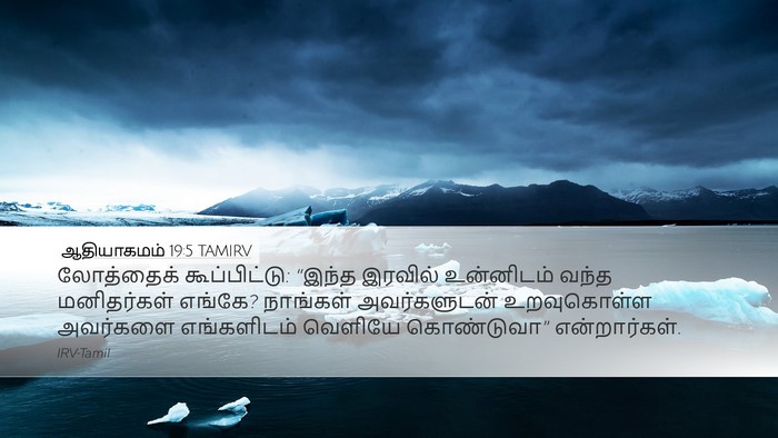 ஆதியாகமம் 19:5 TAMIRV Bible Verse Image
