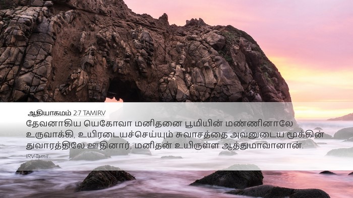ஆதியாகமம் 2:7 TAMIRV Bible Verse Image