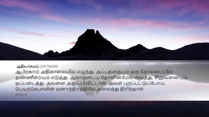 ஆதியாகமம் 21:14 TAMIRV Bible Verse Image
