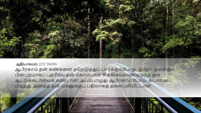 ஆதியாகமம் 22:13 TAMIRV Bible Verse Image