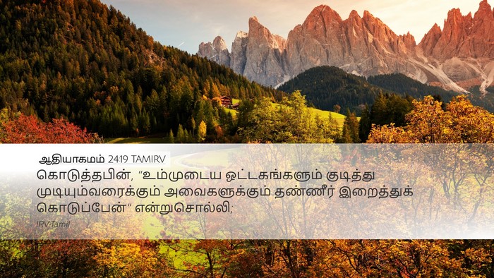 ஆதியாகமம் 24:19 TAMIRV Desktop Wallpaper - கொடுத்தபின், - Desktop Bible Verse Wallpaper