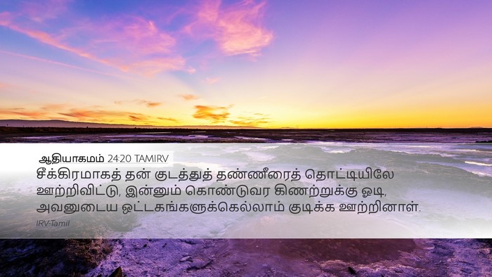 ஆதியாகமம் 24:20 TAMIRV Desktop Wallpaper - சீக்கிரமாகத் தன் - Desktop Bible Verse Wallpaper