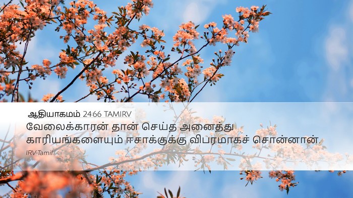 ஆதியாகமம் 24:66 TAMIRV Desktop Wallpaper - வேலைக்காரன் தான் - Desktop Bible Verse Wallpaper