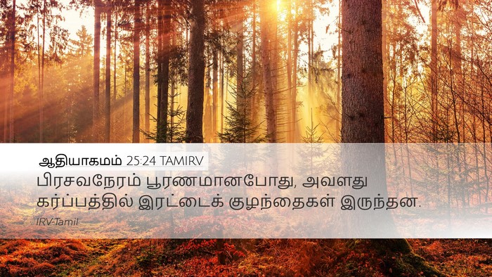 ஆதியாகமம் 25:24 TAMIRV Bible Verse Image