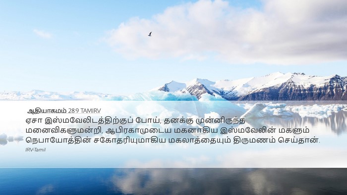 ஆதியாகமம் 28:9 TAMIRV Bible Verse Image