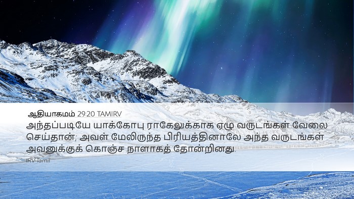 ஆதியாகமம் 29:20 TAMIRV Bible Verse Image