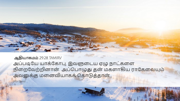 ஆதியாகமம் 29:28 TAMIRV Bible Verse Image