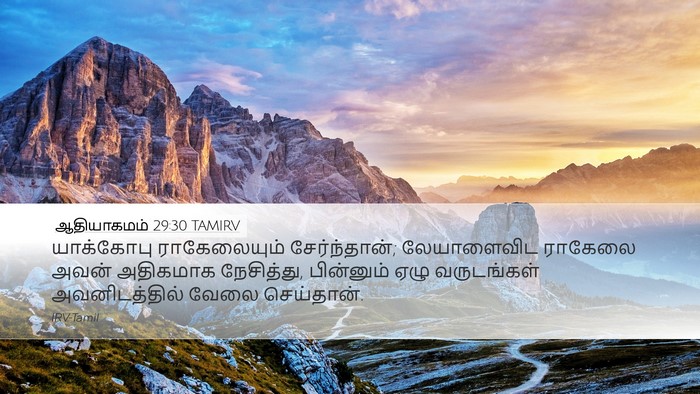 ஆதியாகமம் 29:30 TAMIRV Bible Verse Image
