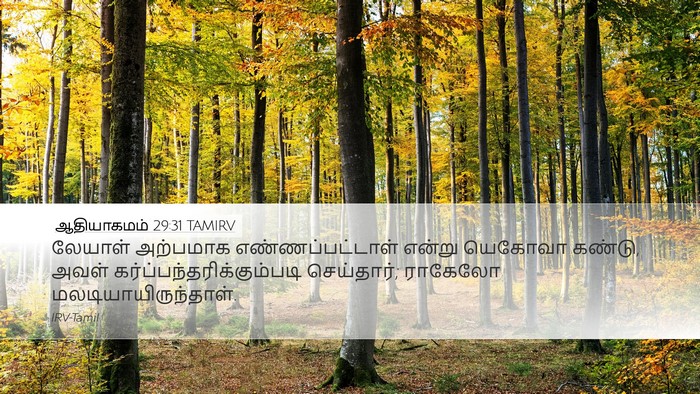 ஆதியாகமம் 29:31 TAMIRV Bible Verse Image