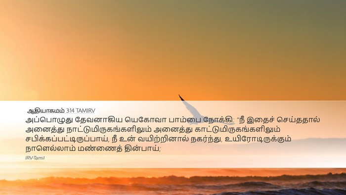 ஆதியாகமம் 3:14 TAMIRV Bible Verse Image