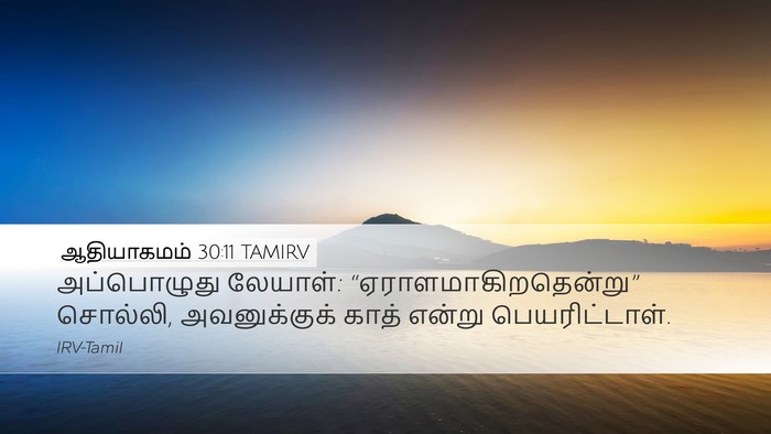 ஆதியாகமம் 30:11 TAMIRV Bible Verse Image