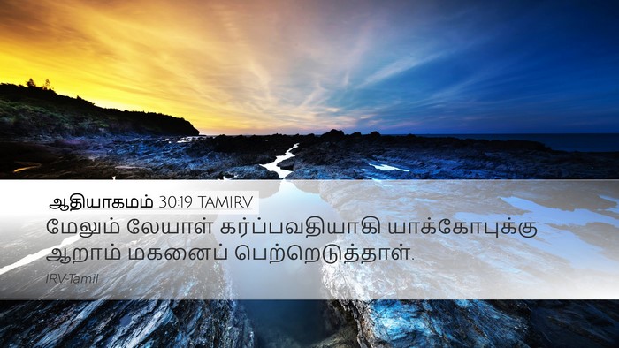 ஆதியாகமம் 30:19 TAMIRV Bible Verse Image