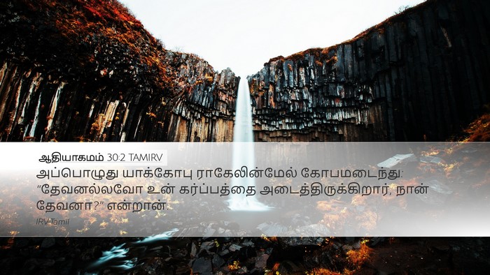 ஆதியாகமம் 30:2 TAMIRV Bible Verse Image