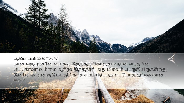 ஆதியாகமம் 30:30 TAMIRV Bible Verse Image