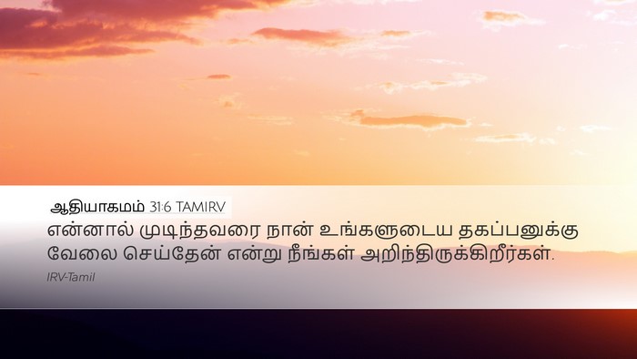 ஆதியாகமம் 31:6 TAMIRV Bible Verse Image