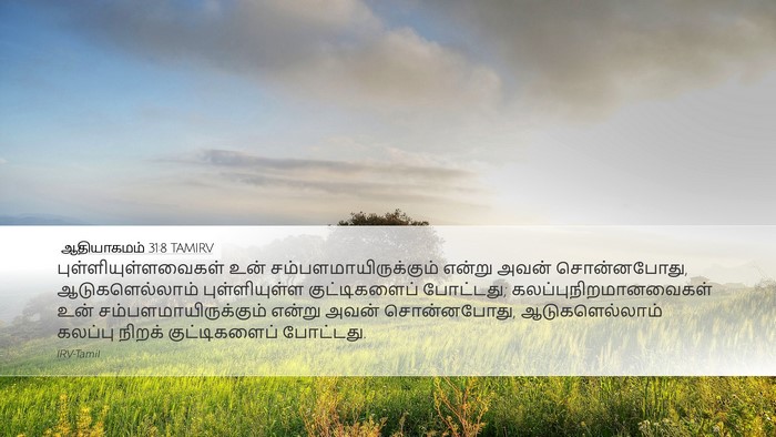 ஆதியாகமம் 31:8 TAMIRV Bible Verse Image