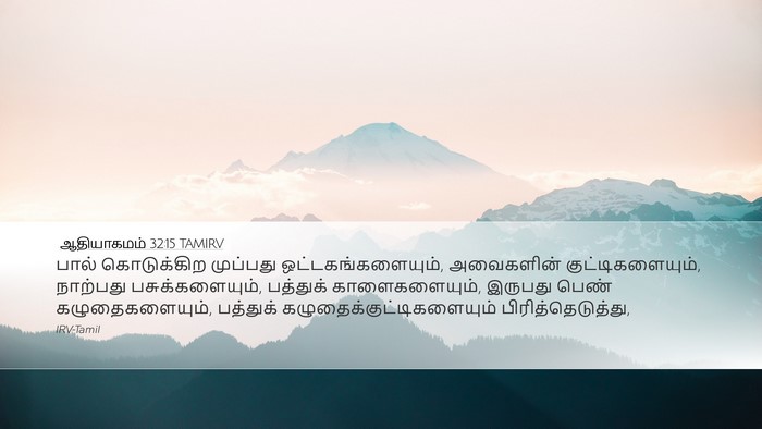 ஆதியாகமம் 32:15 TAMIRV Desktop Wallpaper - பால் கொடுக்கிற - Desktop Bible Verse Wallpaper