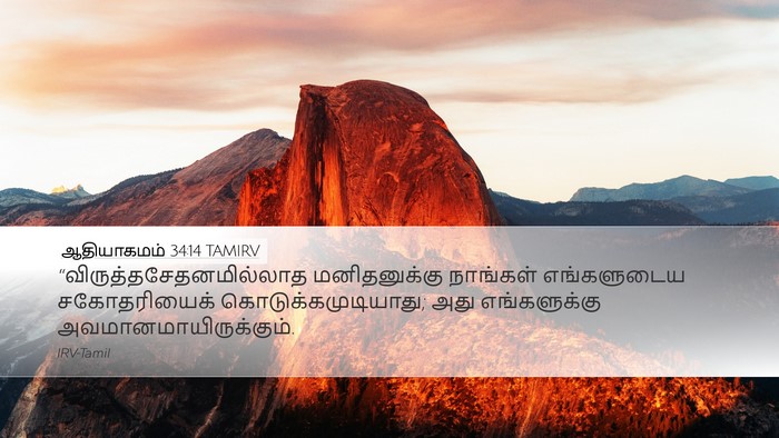 ஆதியாகமம் 34:14 TAMIRV Bible Verse Image