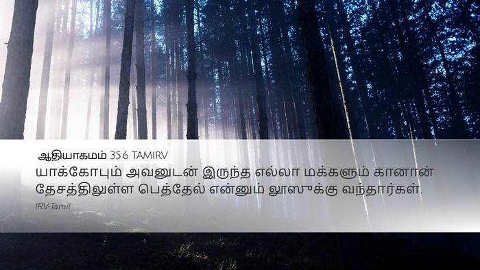 ஆதியாகமம் 35:6 TAMIRV Desktop Wallpaper - யாக்கோபும் - Desktop Bible Verse Wallpaper