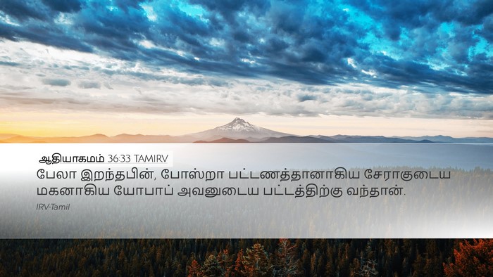 ஆதியாகமம் 36:33 TAMIRV Bible Verse Image