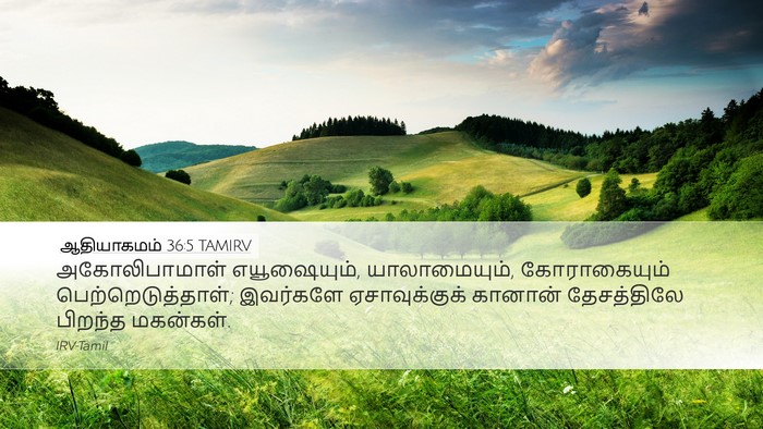 ஆதியாகமம் 36:5 TAMIRV Bible Verse Image