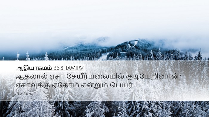 ஆதியாகமம் 36:8 TAMIRV Bible Verse Image