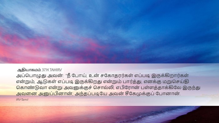 ஆதியாகமம் 37:14 TAMIRV Bible Verse Image