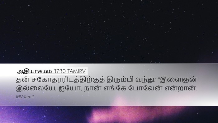 ஆதியாகமம் 37:30 TAMIRV Bible Verse Image